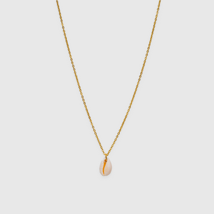 Kauri Shell (gold)